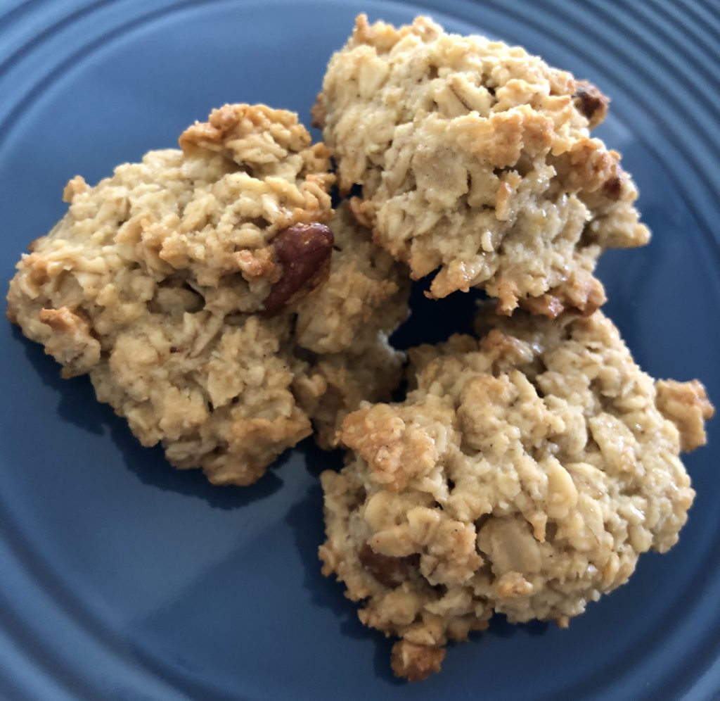 gluten diary sugar free oatmeal cookie